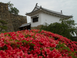 bloemen rond Himeji Castle
