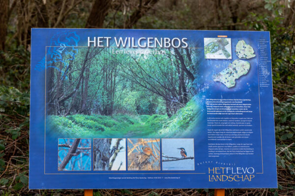 Wilgenbos
