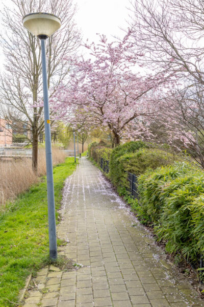 Arthur van Schinkelpad, Almere