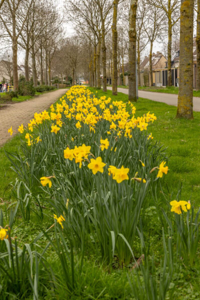 Schinkelpad, Almere