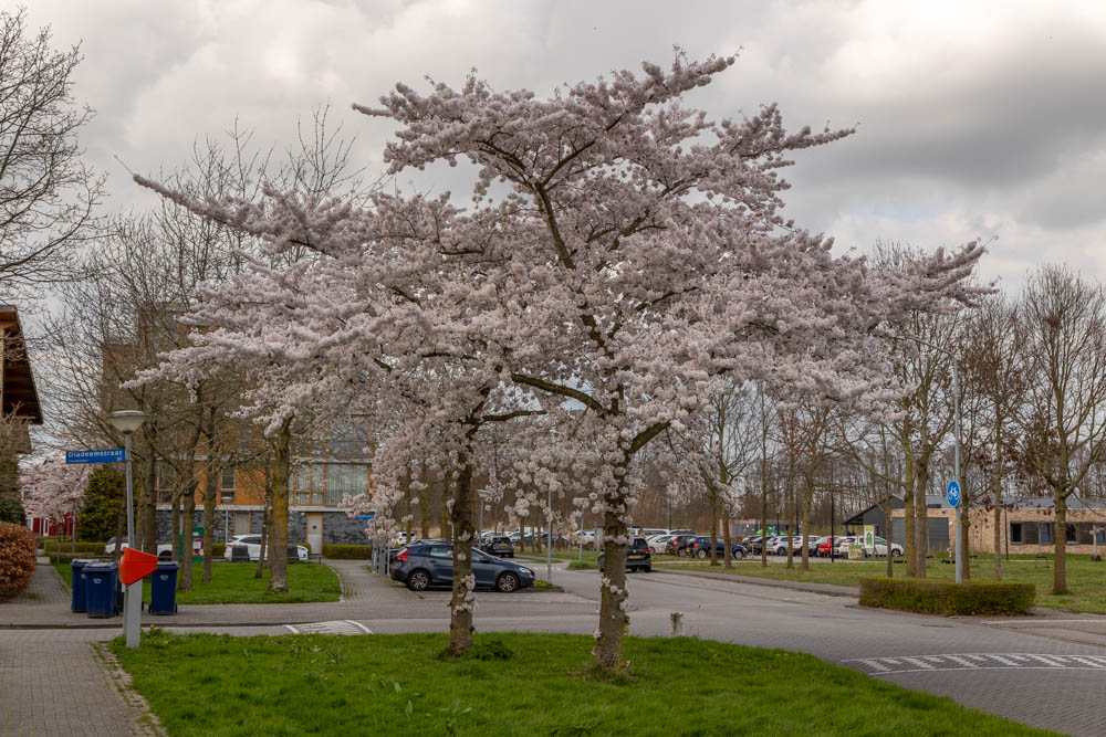 Sieradenbuurt, Almere