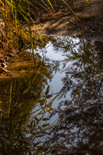 Water spiegeling