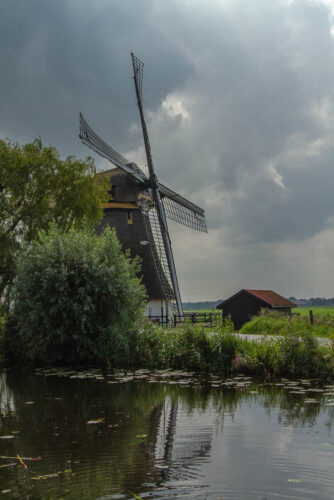 Molen-6869