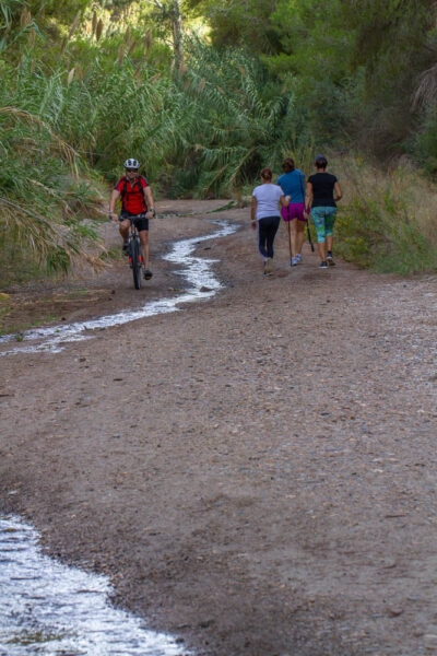Rambla del Cañar-5251