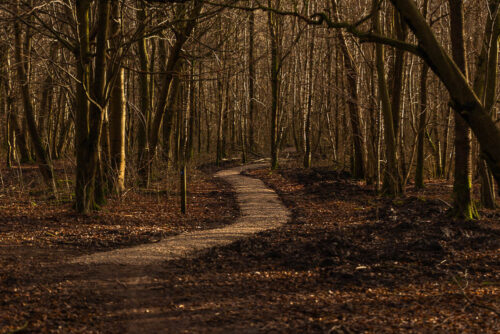 MTB route
