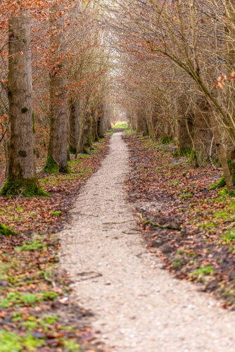 MTB route