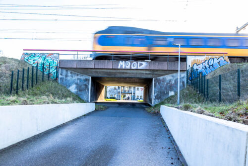 trein