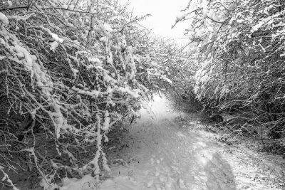 Gelukkig nieuwjaar en een gezond 2026